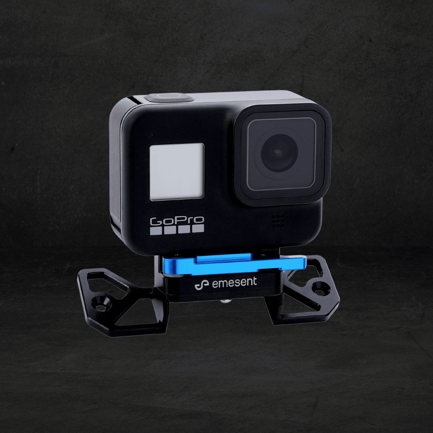 GoPro for Colorization